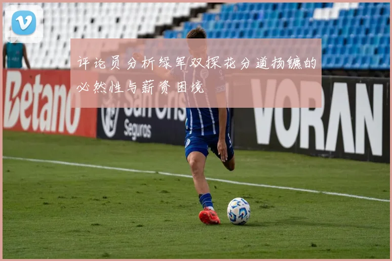 评论员分析绿军双探花分道扬镳的必然性与薪资困境
