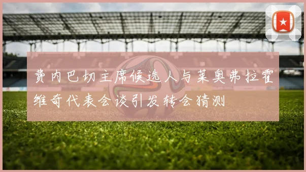费内巴切主席候选人与莱奥弗拉霍维奇代表会谈引发转会猜测